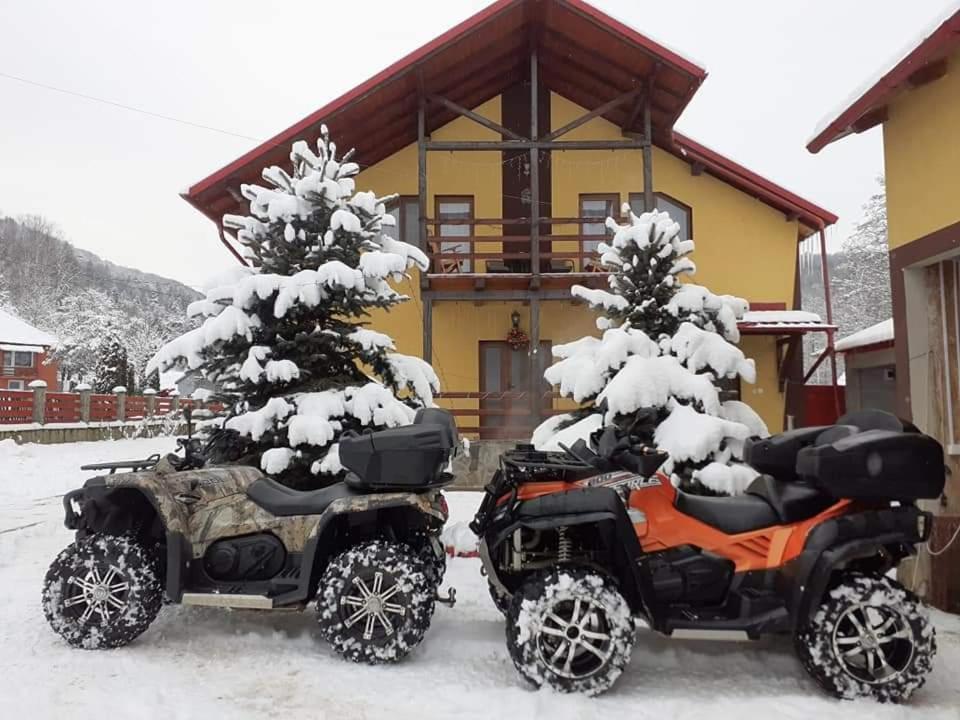 Vila Coman Întorsura Buzăului Exterior foto